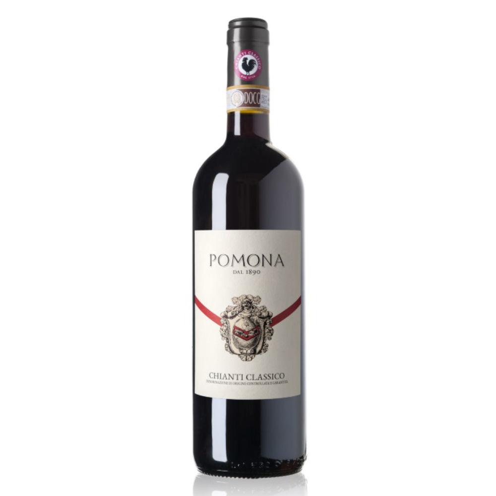 1st Weekly offer - Chianti classico 12 bottles